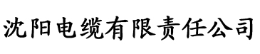 天生名器改造系统电缆厂logo